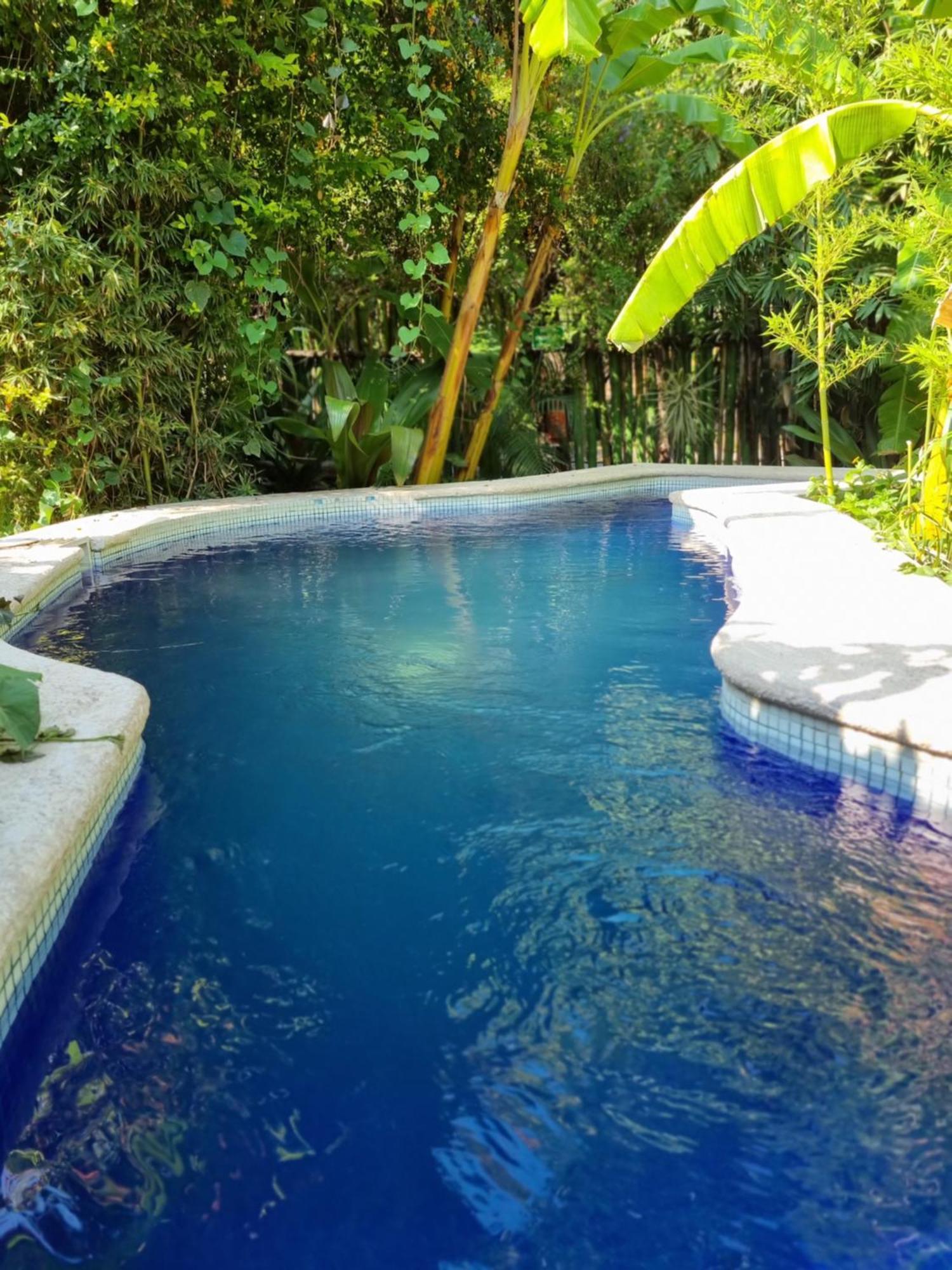 Eco Hotel Tahawi Ajijic Ngoại thất bức ảnh