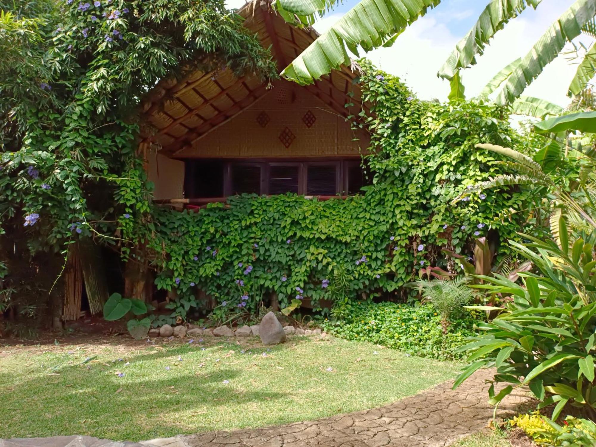 Eco Hotel Tahawi Ajijic Ngoại thất bức ảnh